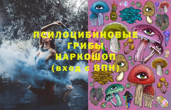 ПСИЛОЦИБИНОВЫЕ ГРИБЫ Баксан