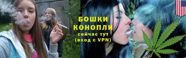 ПСИЛОЦИБИНОВЫЕ ГРИБЫ Баксан