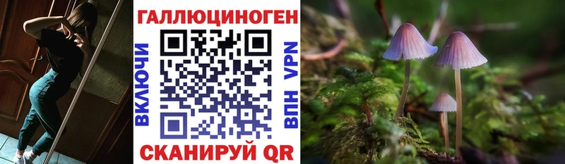 Псилоцибиновые грибы Cubensis Вилюйск